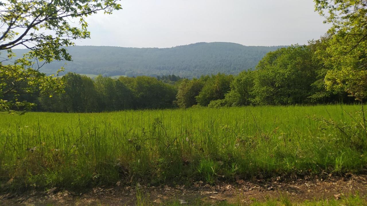 Ferienwohnung Zum Maerchenwald Bergfreiheit Exteriör bild