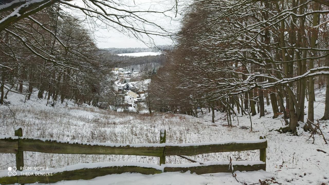 Ferienwohnung Zum Maerchenwald Bergfreiheit Exteriör bild