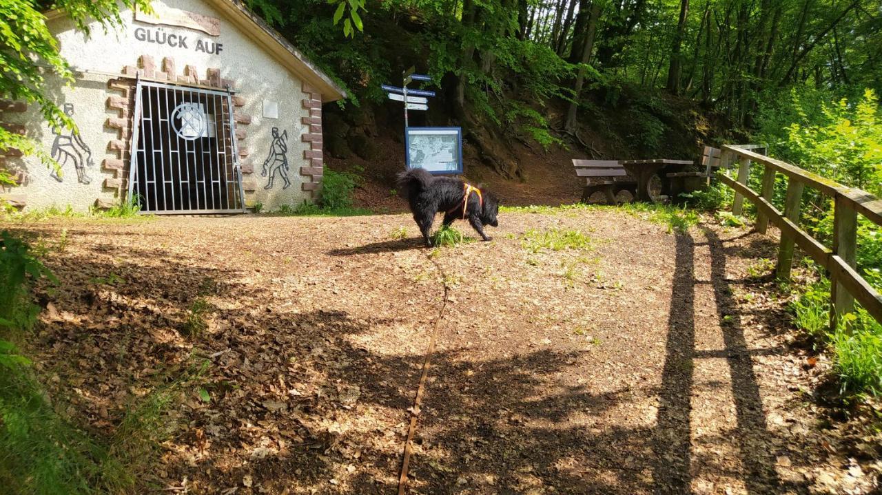 Ferienwohnung Zum Maerchenwald Bergfreiheit Exteriör bild