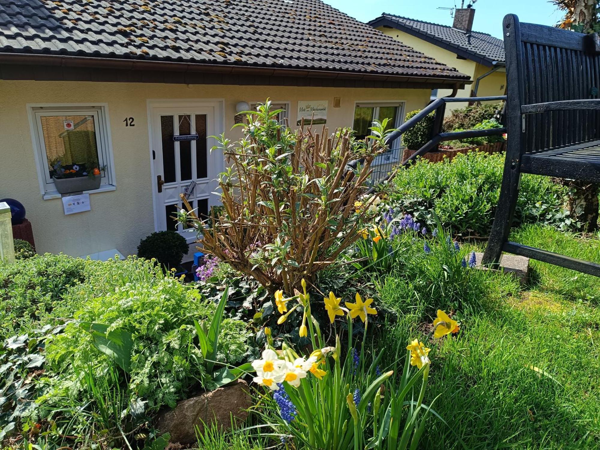 Ferienwohnung Zum Maerchenwald Bergfreiheit Exteriör bild