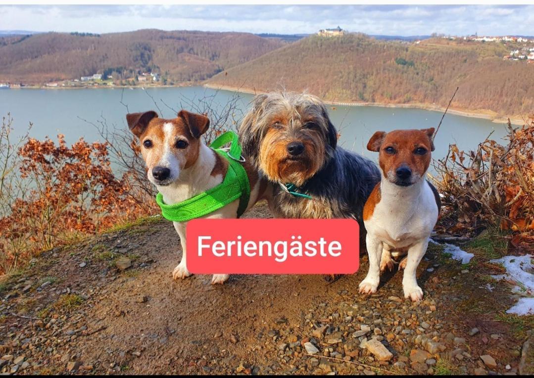 Ferienwohnung Zum Maerchenwald Bergfreiheit Exteriör bild