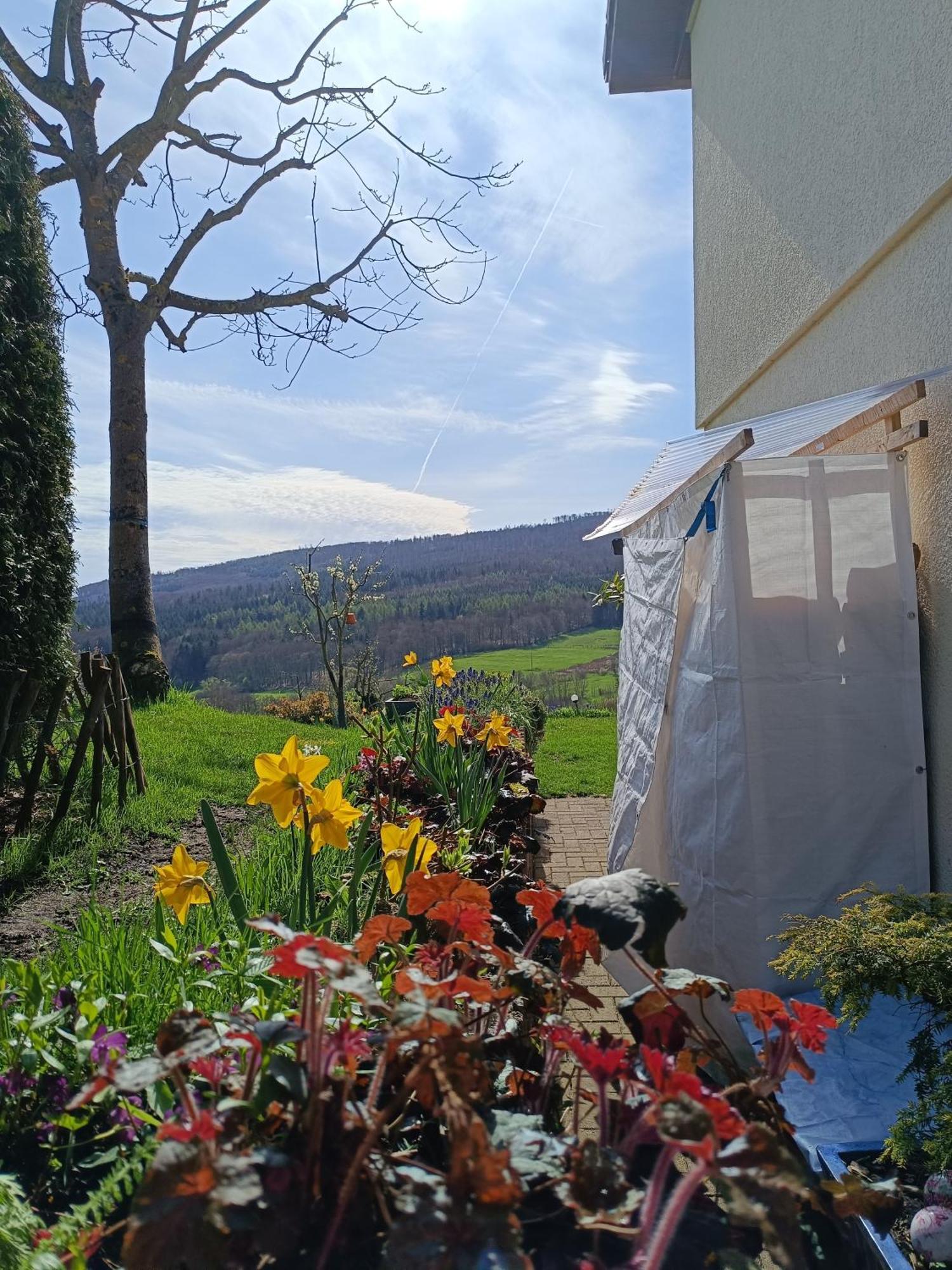 Ferienwohnung Zum Maerchenwald Bergfreiheit Exteriör bild