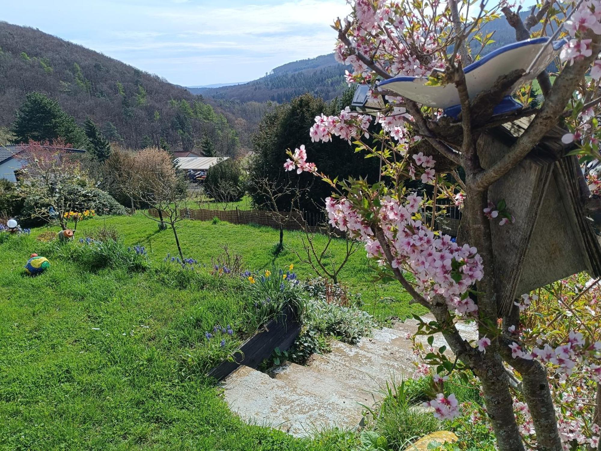 Ferienwohnung Zum Maerchenwald Bergfreiheit Exteriör bild
